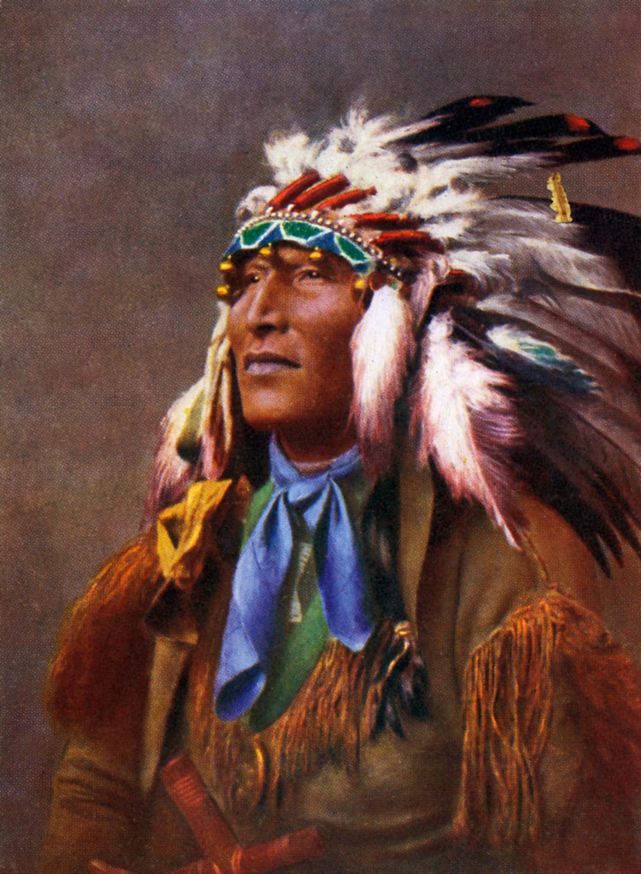 Amérindien en costume traditionnel - Unbekannter Künstler