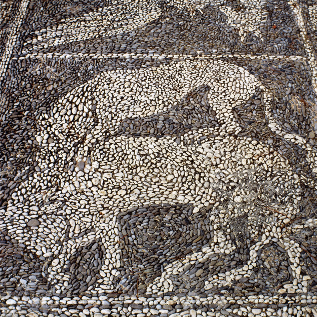 Panthère attaquant un taureau (mosaïque en pierre) - Unbekannt