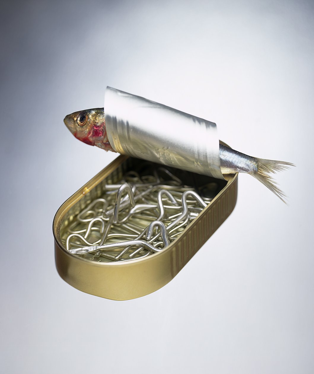 Inversion de boîte de sardines - Unbekannter Künstler