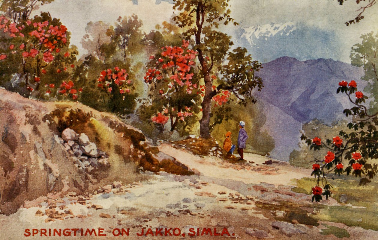 Printemps sur Jahko, Simla, Inde - Unbekannter Künstler
