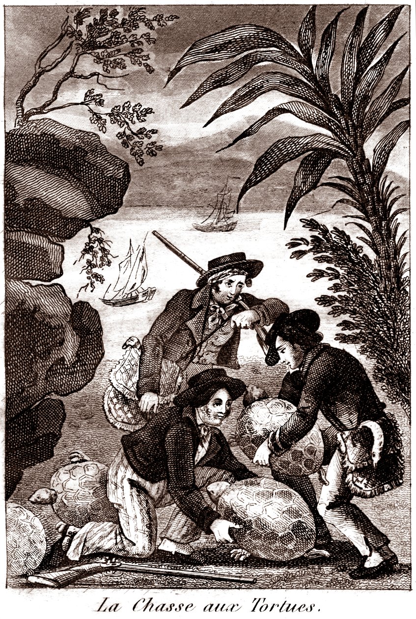 Chasse à la tortue - Unbekannter Künstler