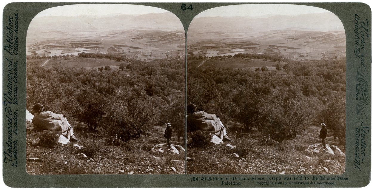La plaine de Dothan, Palestine - Underwood and Underwood