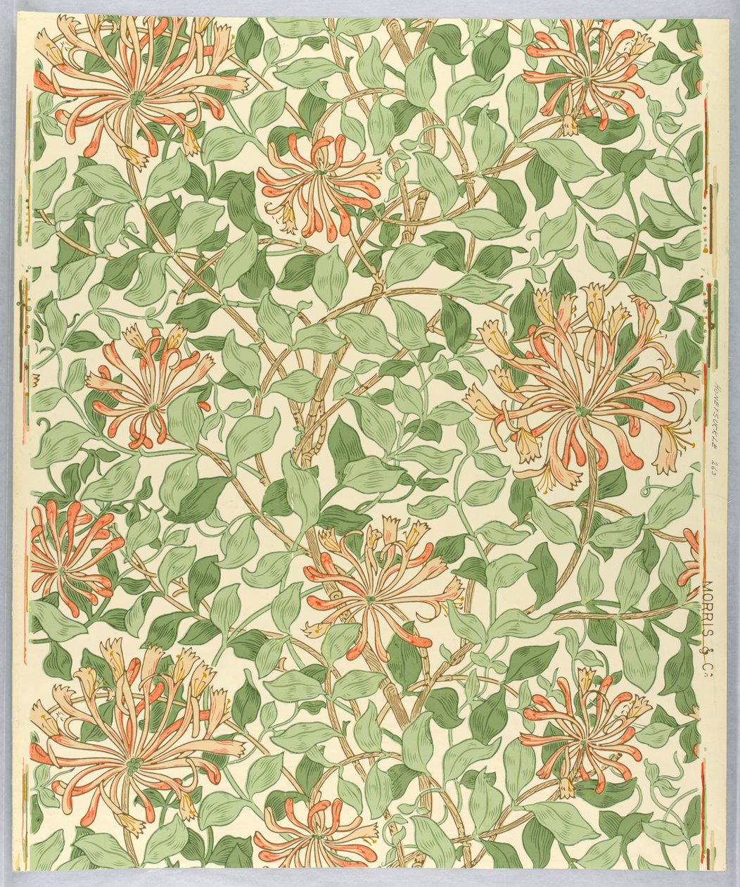 Revêtement mural, Chèvrefeuille, 1883 - Unknown