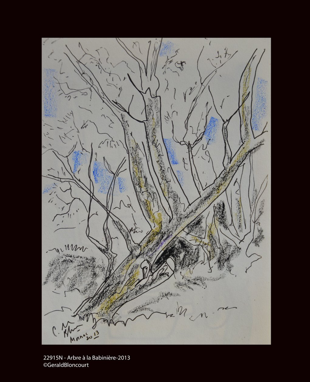 Arbre à Babinière - Unknown