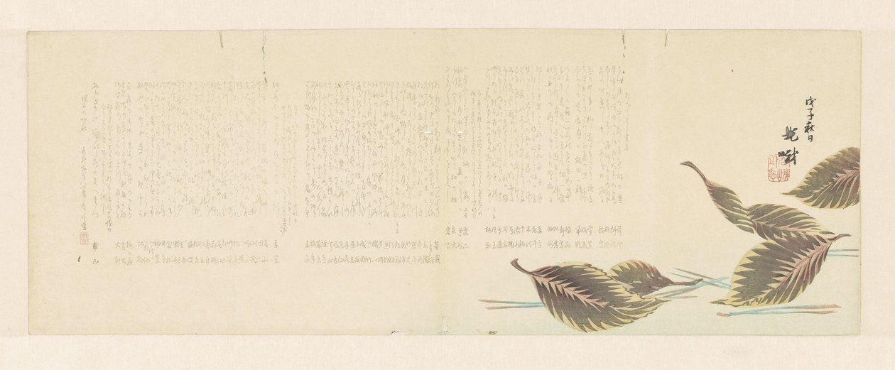 Feuilles tombées - Unknown