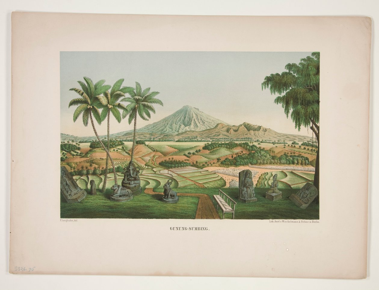 Gunung - Sumbing - Unknown