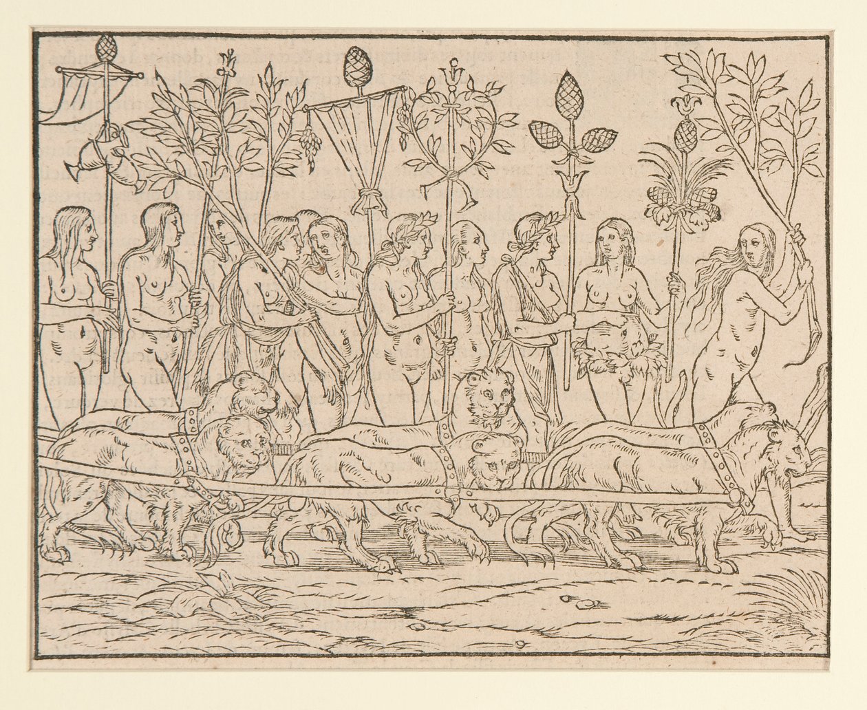 Page d