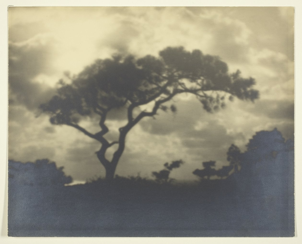 Sans titre (Paysage nuageux avec arbre) - Unknown