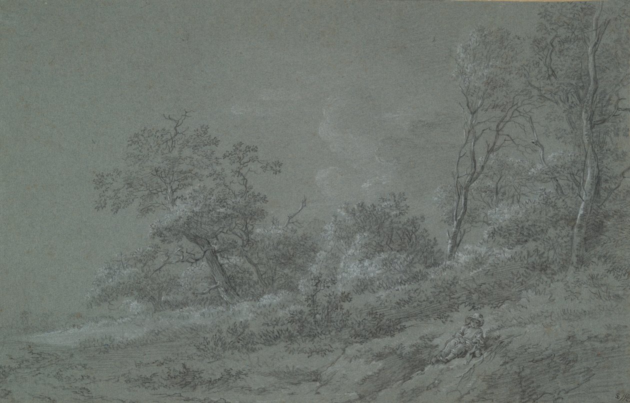 Scène boisée - Unknown