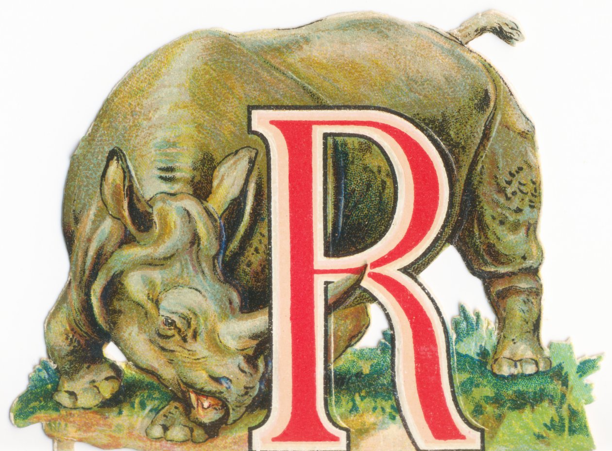 A : Rhinocéros - Unknown artist