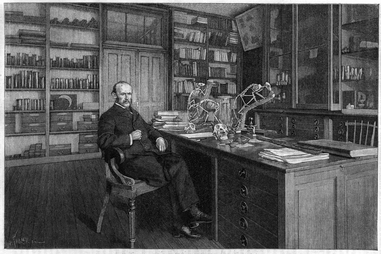 Alphonse Milne Edwards - Unknown artist