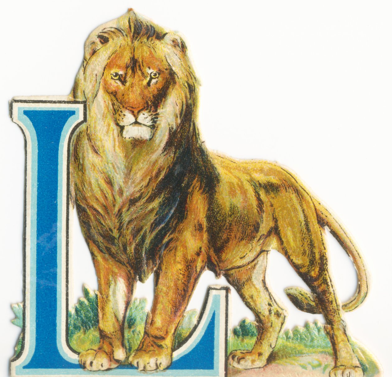 L : Lion - Unknown artist