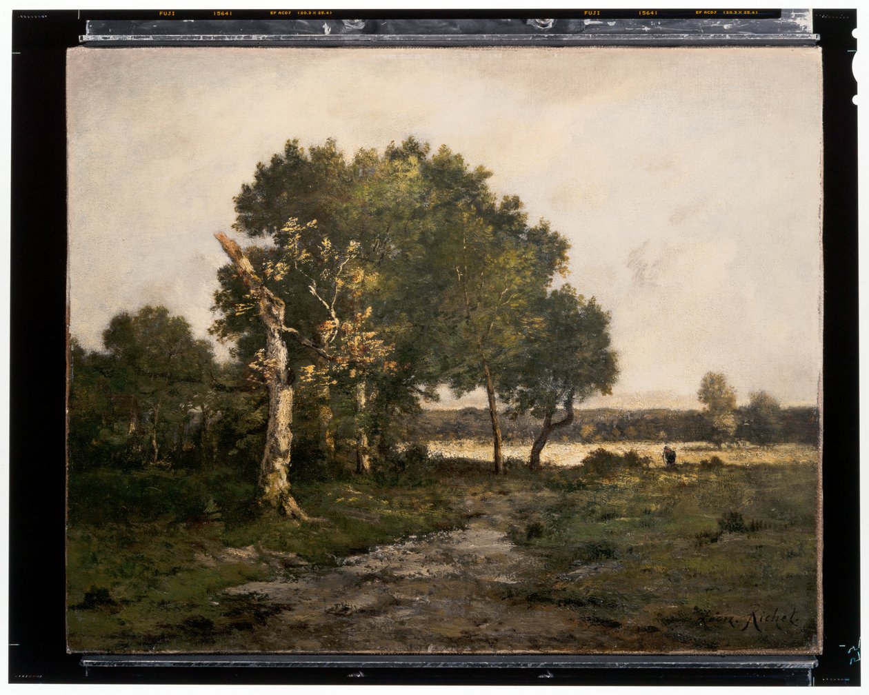 Paysage, c.19ème siècle - Unknown artist