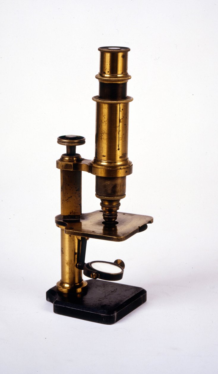 Microscope. 19ème siècle - Unknown artist