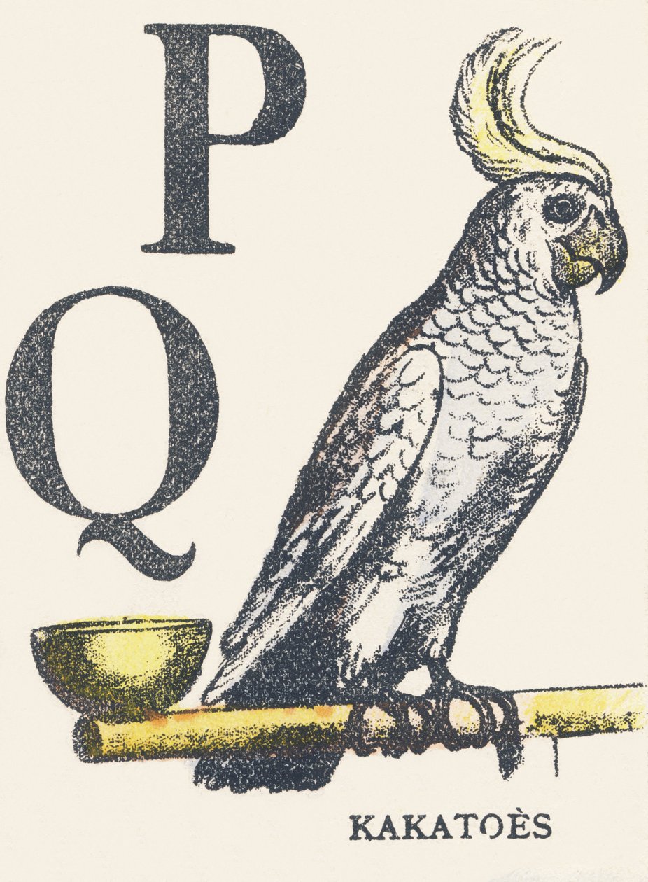 P Q : cacatoès - Unknown artist