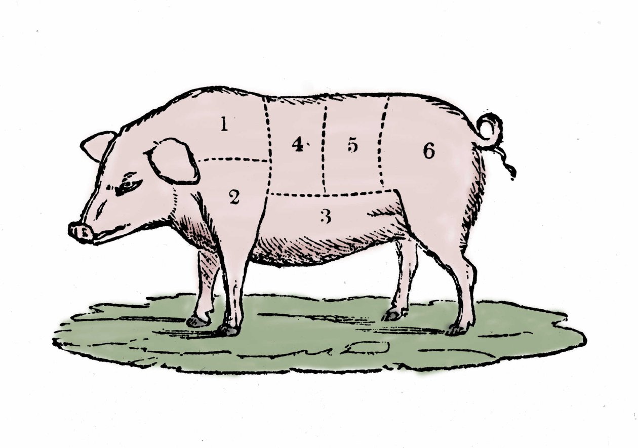 Découpes de porc - Unknown artist