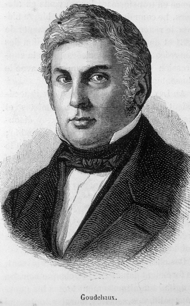Portrait de Michel Goudchaux - Unknown artist