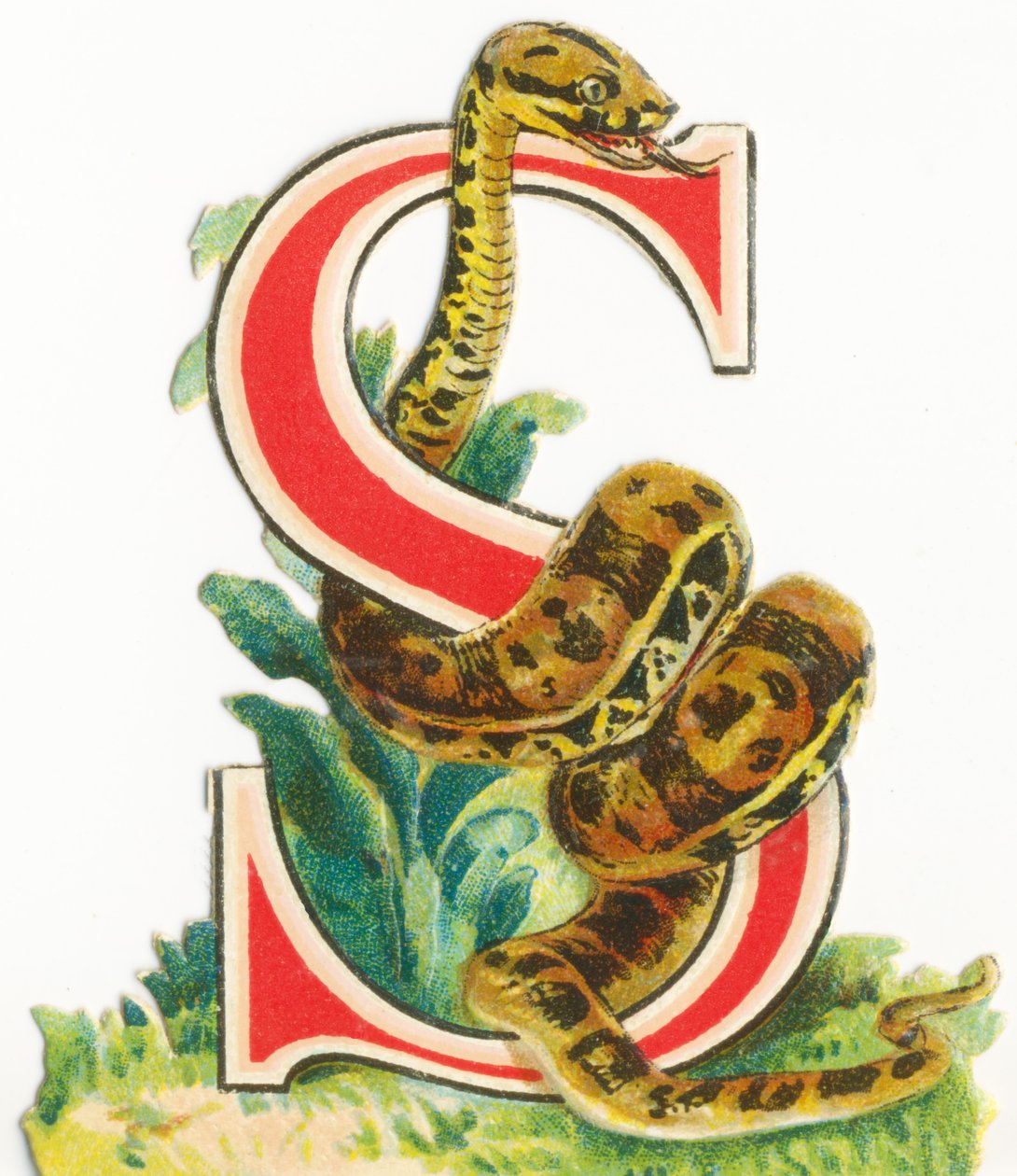 S : Serpent - Unknown artist