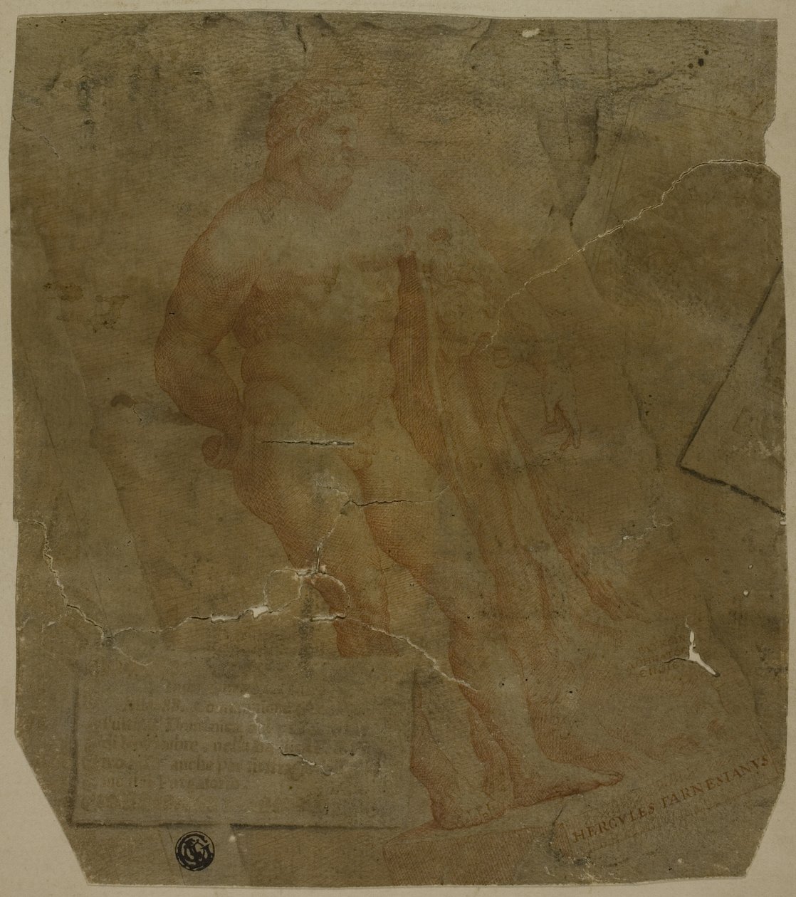 Hercule - Unknown Italian