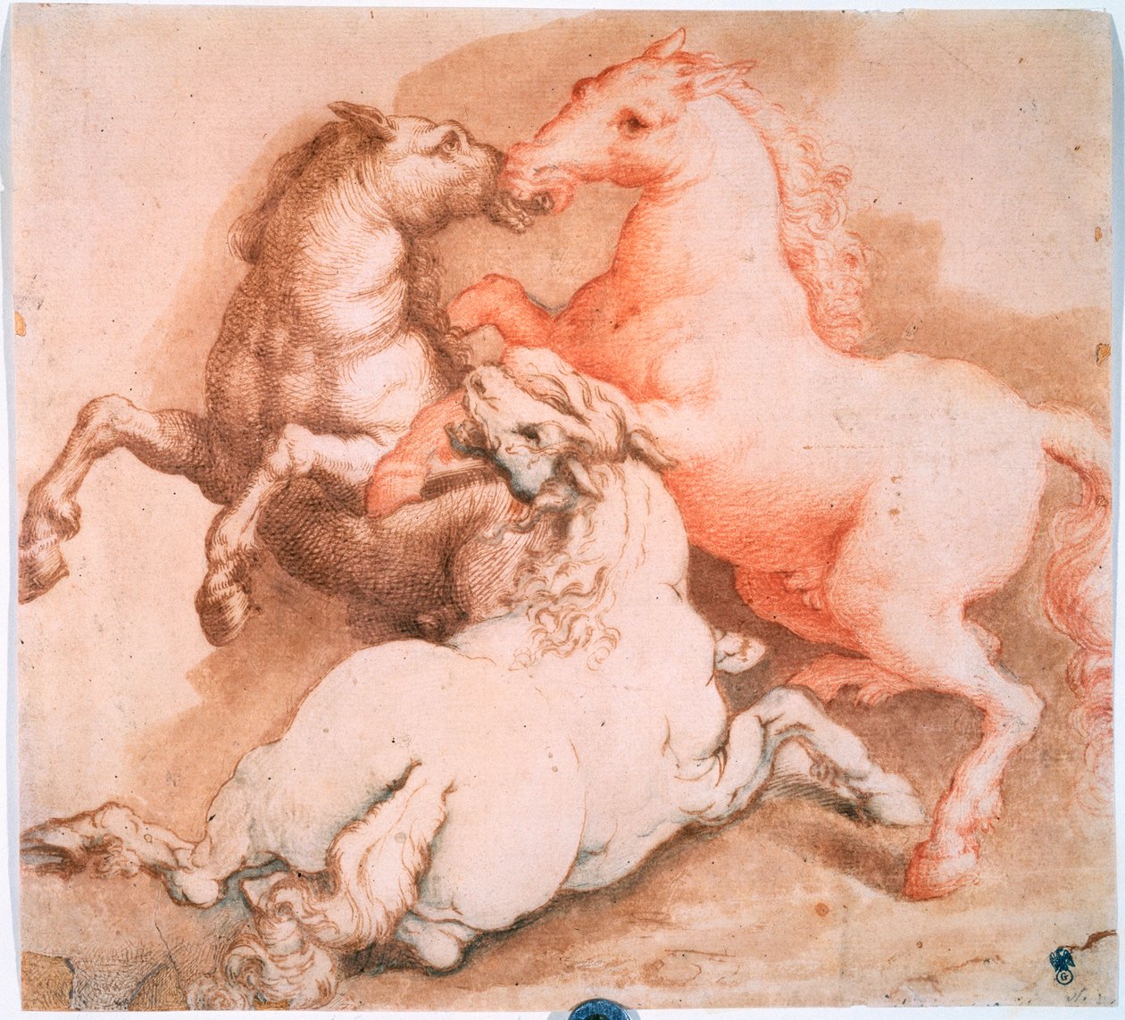 Chevaux combattants, vers 1550-1600 - Unknown Old Master
