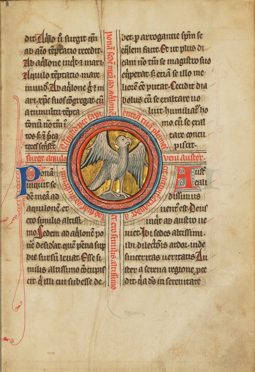 Un faucon dans une croix - Unknown artist