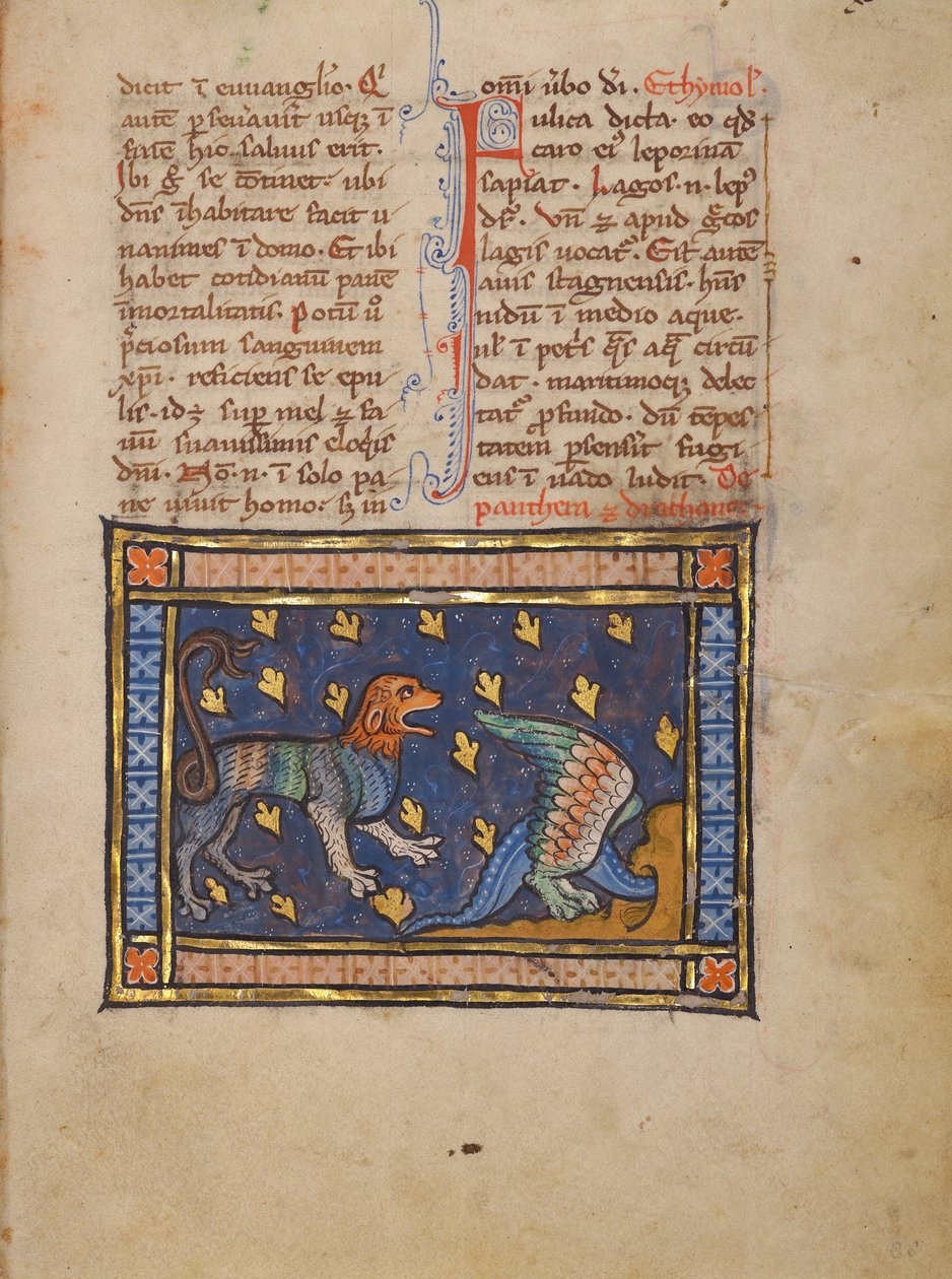 Une panthère - Unknown artist