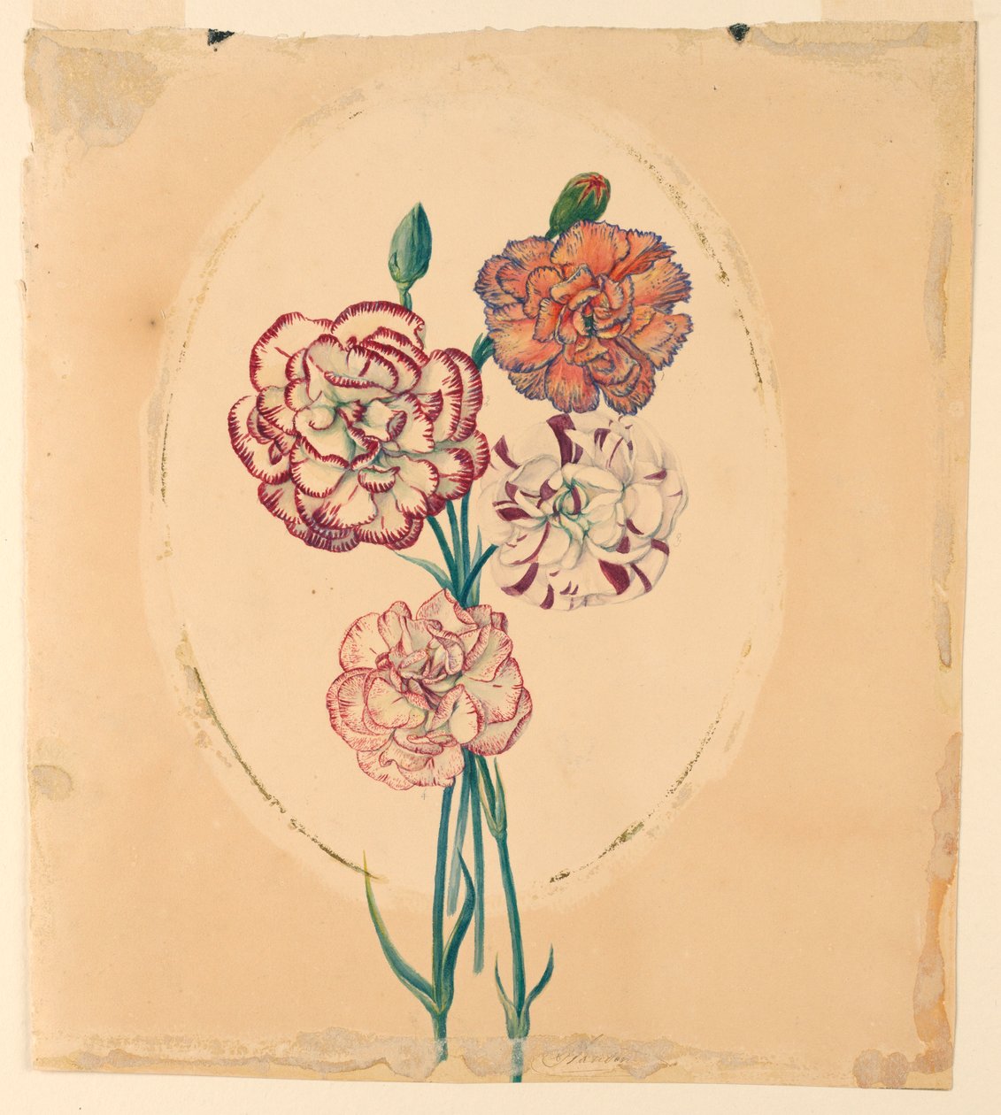 Un bouquet de quatre œillets - Unknown artist