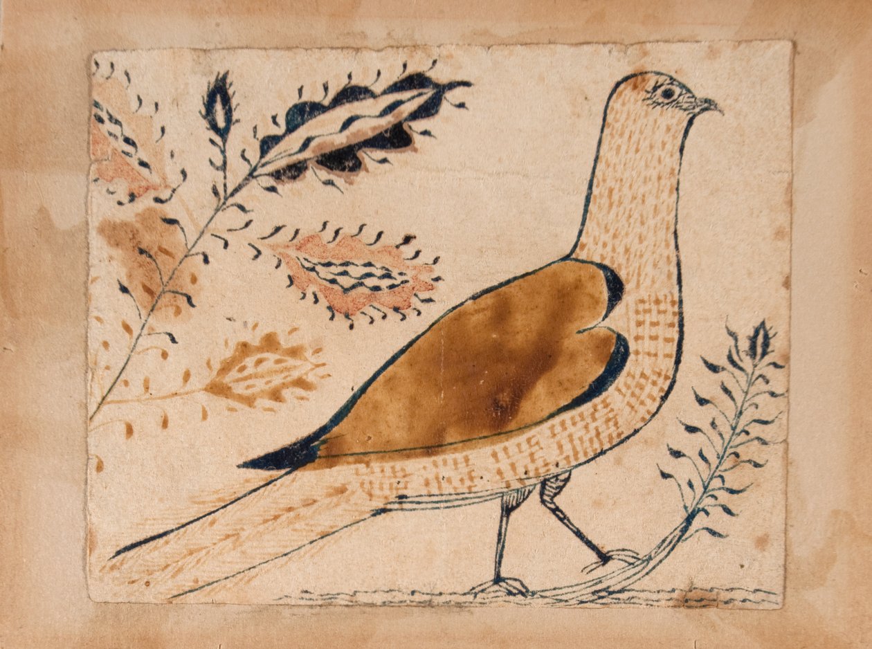 Oiseau - Unknown artist