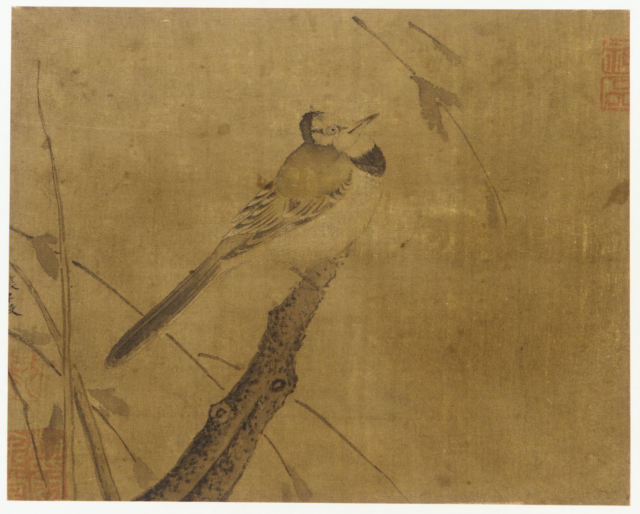 Oiseau sur une branche sans feuilles - Unknown artist