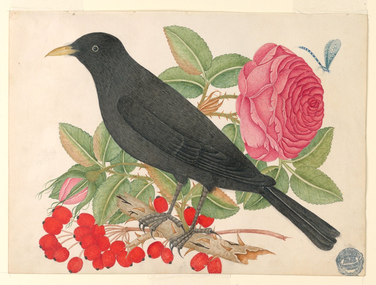 Oiseau noir avec des roses - Unknown artist