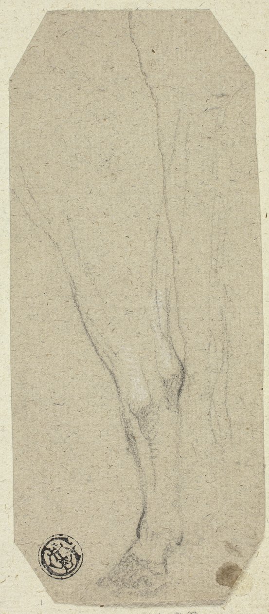 Jambe de vache - Unknown artist