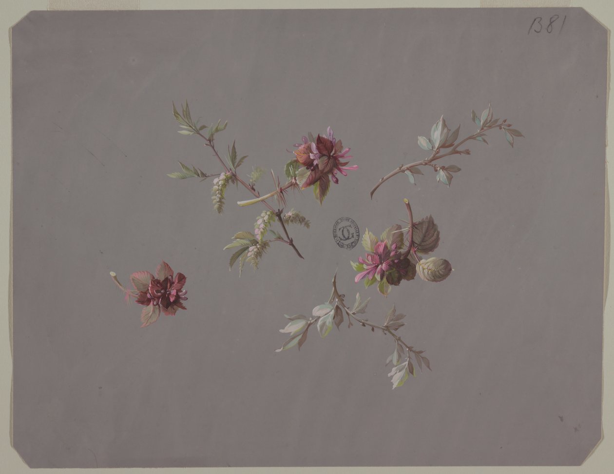 Design pour papier peint et textiles : Fleurs - Unknown artist