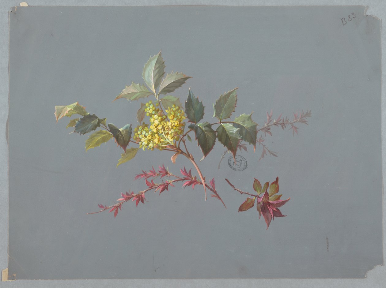 Conception pour papier peint et textiles : Fleurs - Unknown artist