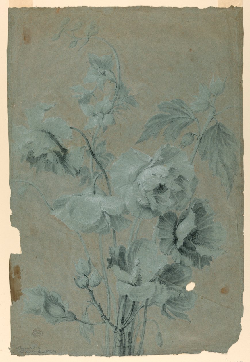 Motif floral - Unknown artist