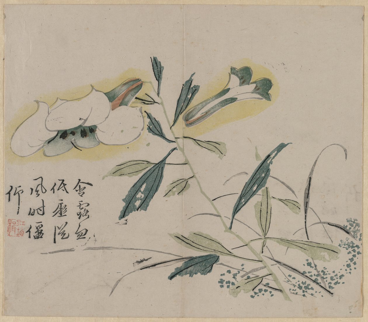 Lys en fleurs - Unknown artist