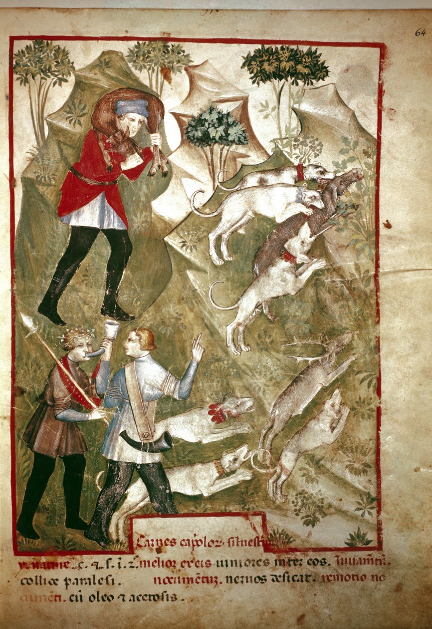 Chasse (Miniature, 14e siècle) - Unknown artist