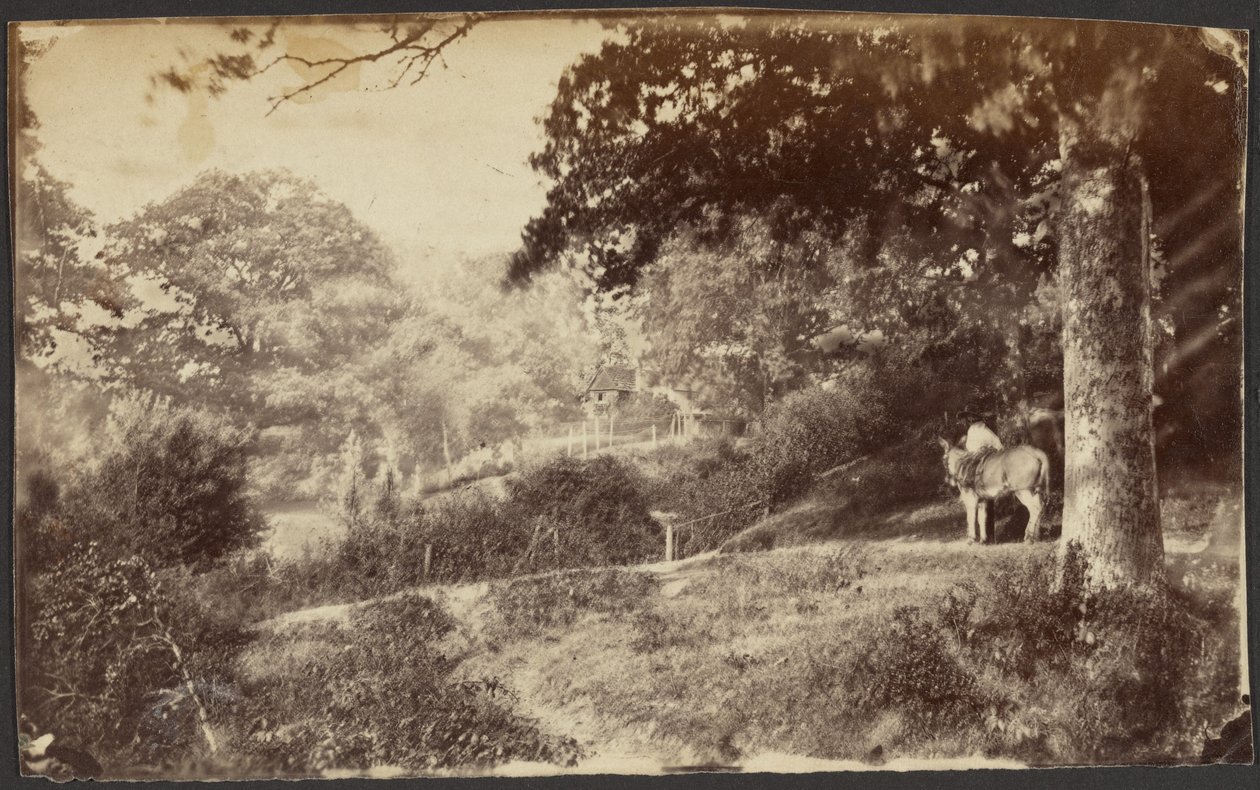 [Homme avec une mule près d