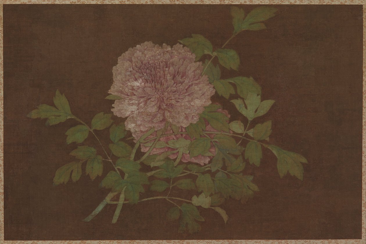 Pivoines - Unknown artist