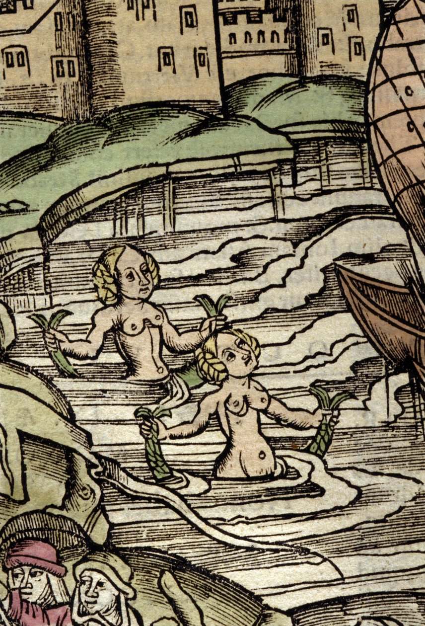 Représentation de sirènes. Gravure du 16ème siècle - Unknown artist