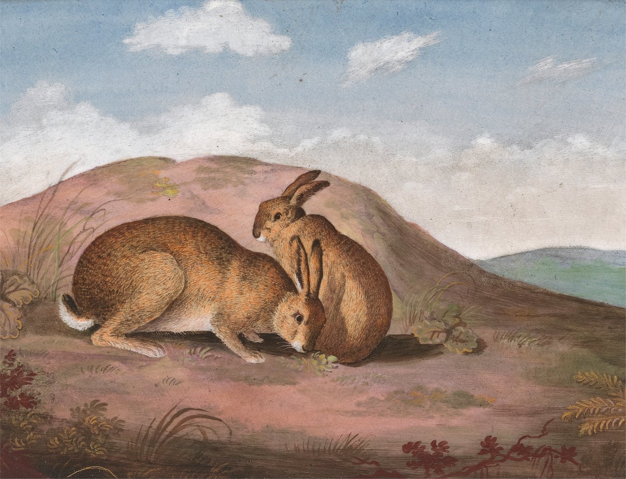 Deux lièvres : sur une colline - Unknown artist