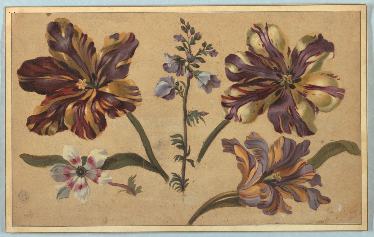Divers floraux - Unknown artist