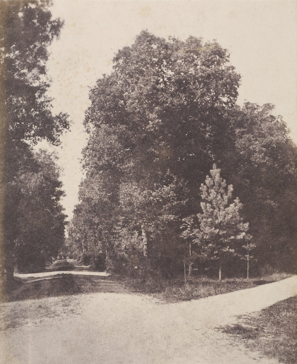 [Croisement d