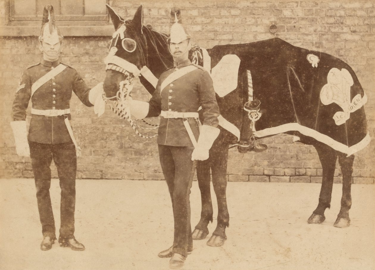 Un cheval du 3e - Unknown