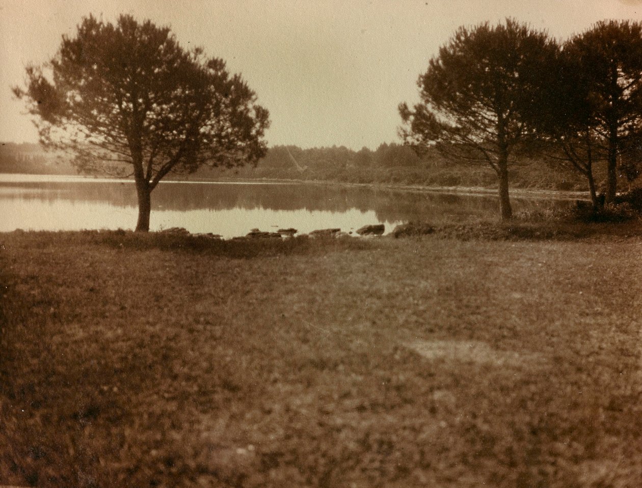 Paysage dans les îles Brijuni - Unknown photographer