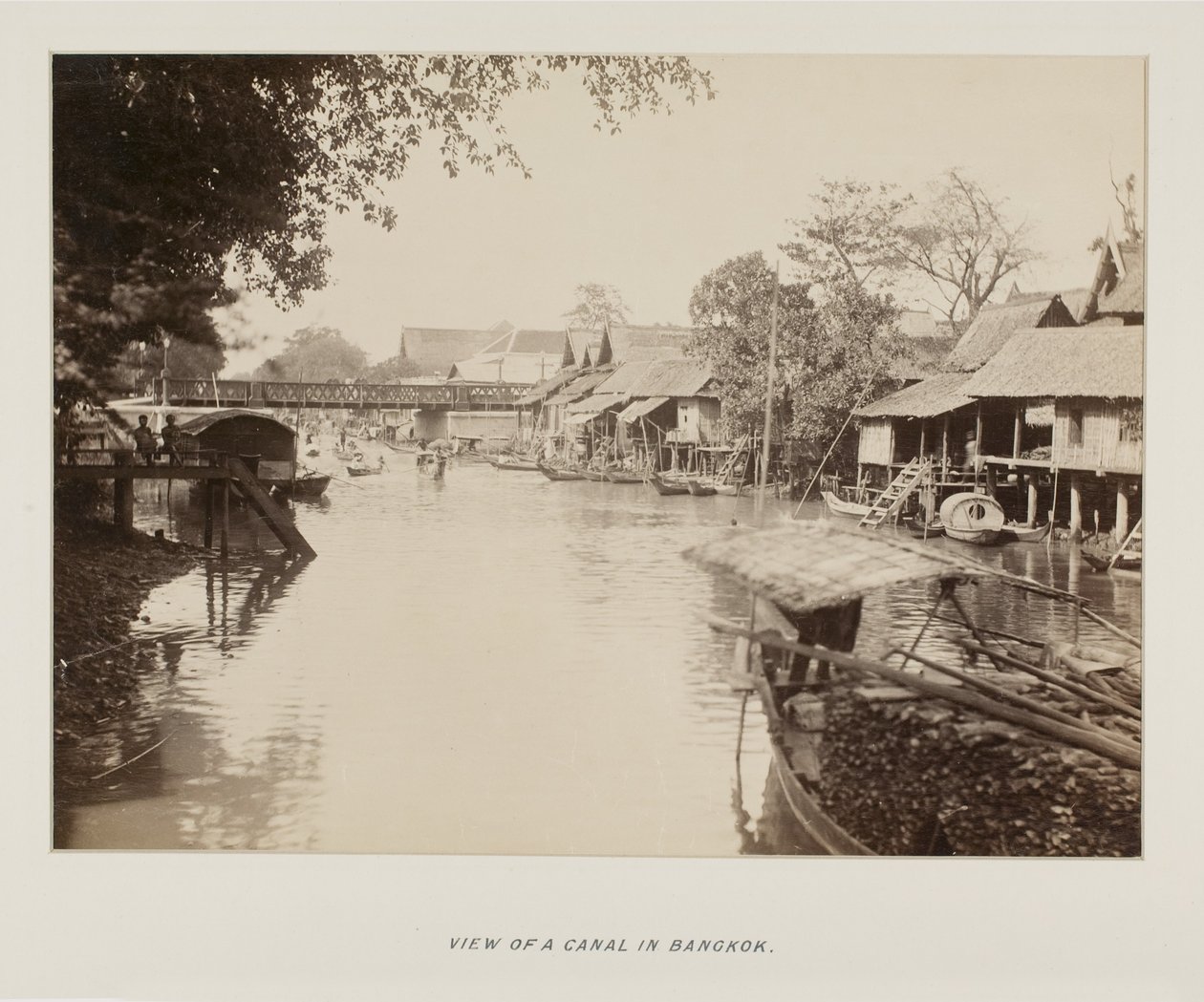 Photographie dans un album photo - Unknown photographer