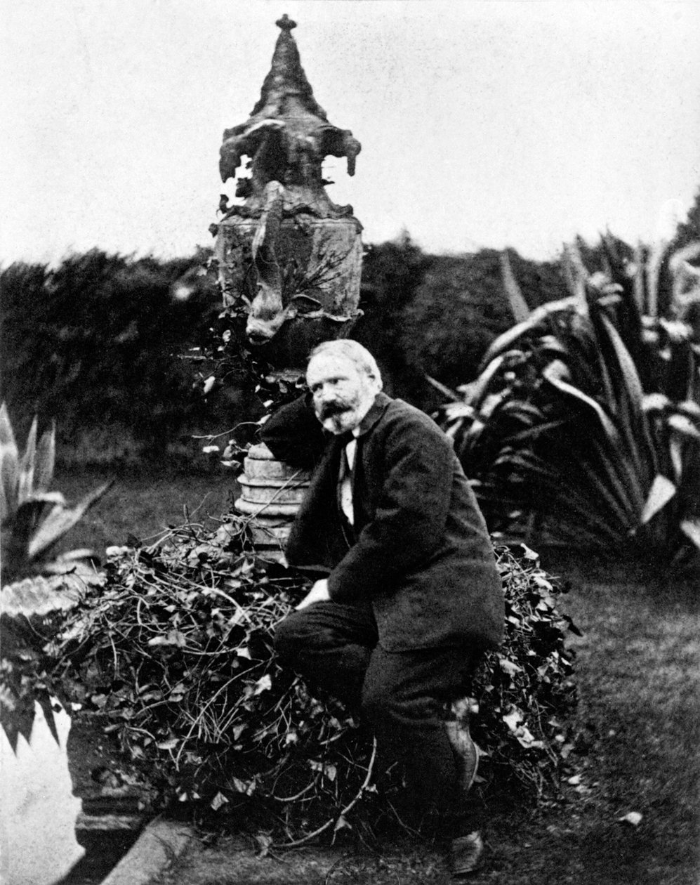 Portrait de Victor Hugo - Unknown photographer