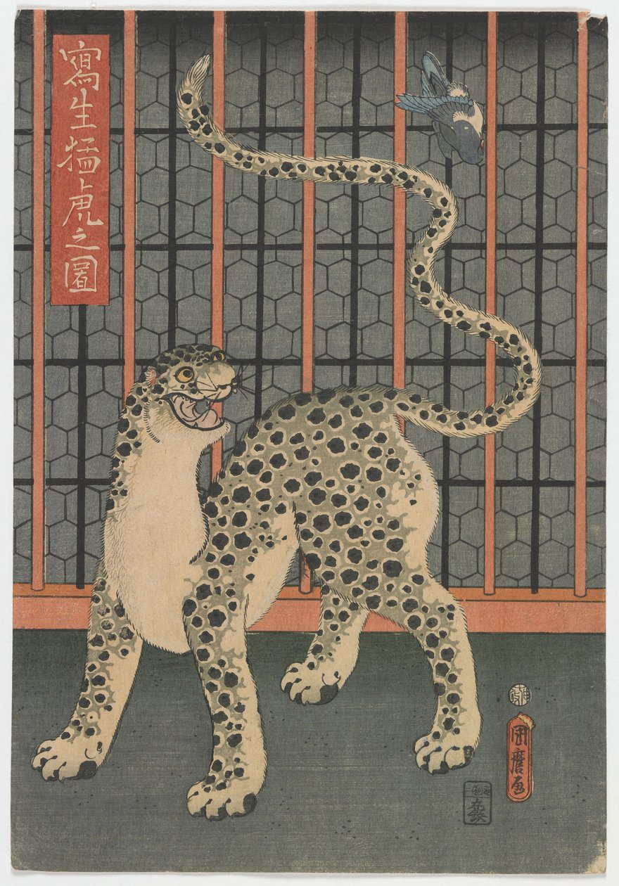 Un léopard dessiné d