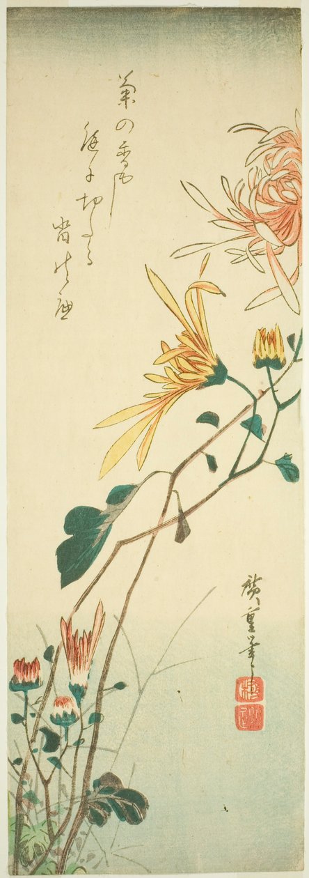 Chrysanthèmes - Utagawa Hiroshige