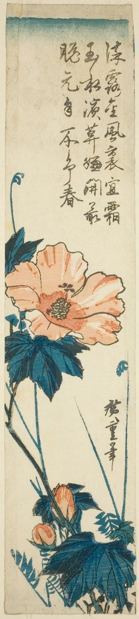 Hibiscus - Utagawa Hiroshige
