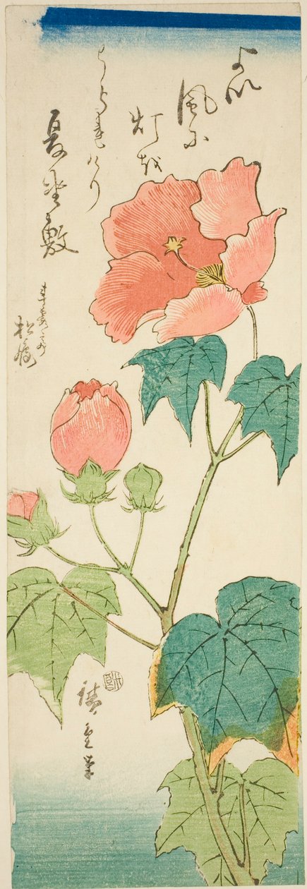 Hibiscus - Utagawa Hiroshige